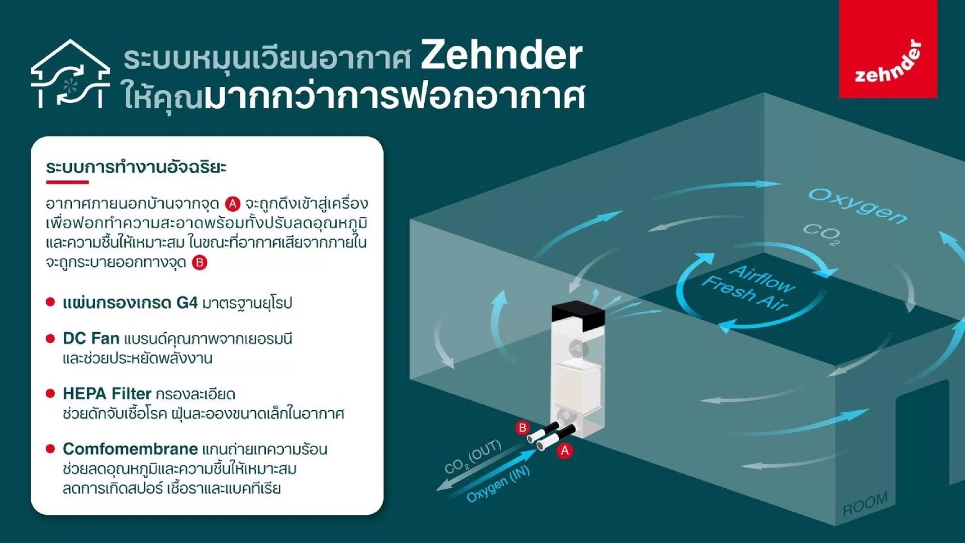 ERV Zehnder (3)