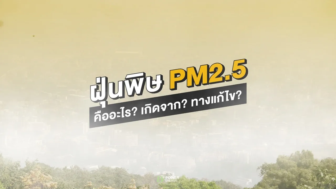 ฝุ่นพิษ PM 2.5 คืออะไร? เกิดจาก? ทางแก้ไข?