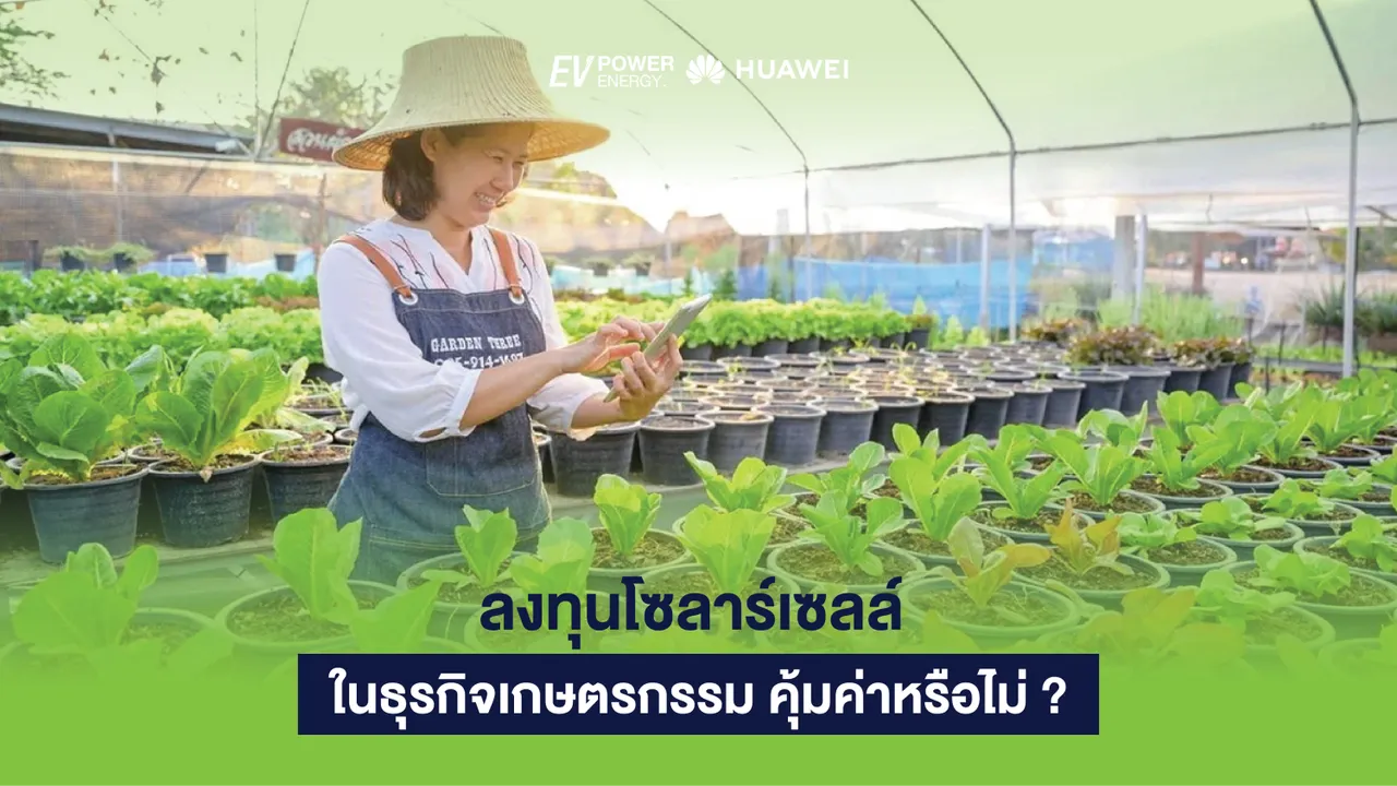 ลงทุนโซลาร์เซลล์ ในธุรกิจเกษตรกรรม คุ้มค่าหรือไม่ ?