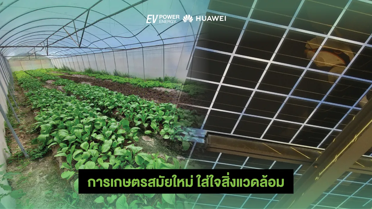 การเกษตรสมัยใหม่ ใส่ใจสิ่งแวดล้อม