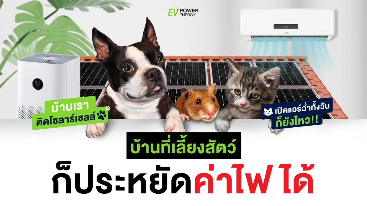 บ้านที่เลี้ยงสัตว์ ก็ประหยัดค่าไฟได้ : โซล่าเซลล์ สำหรับสัตว์เลี้ยง