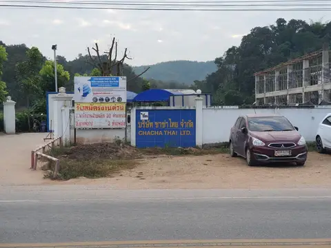 ชาช่าไทย เชียงราย — รูปที่ 11