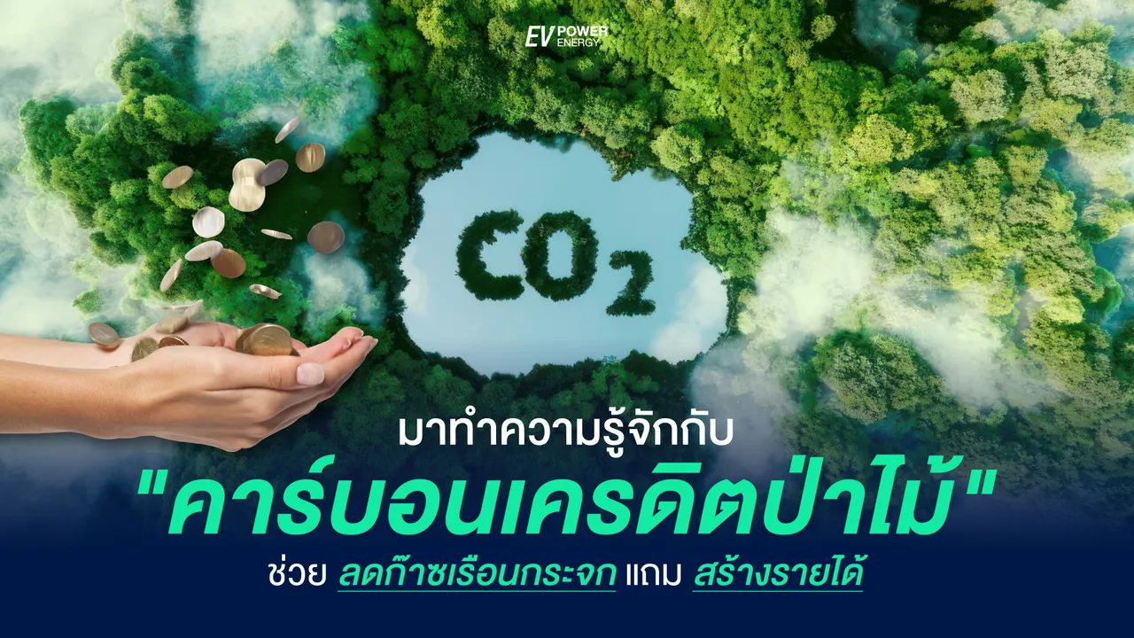 คาร์บอนเครดิตป่าไม้ : ลดก๊าซเรือนกระจก สร้างรายได้