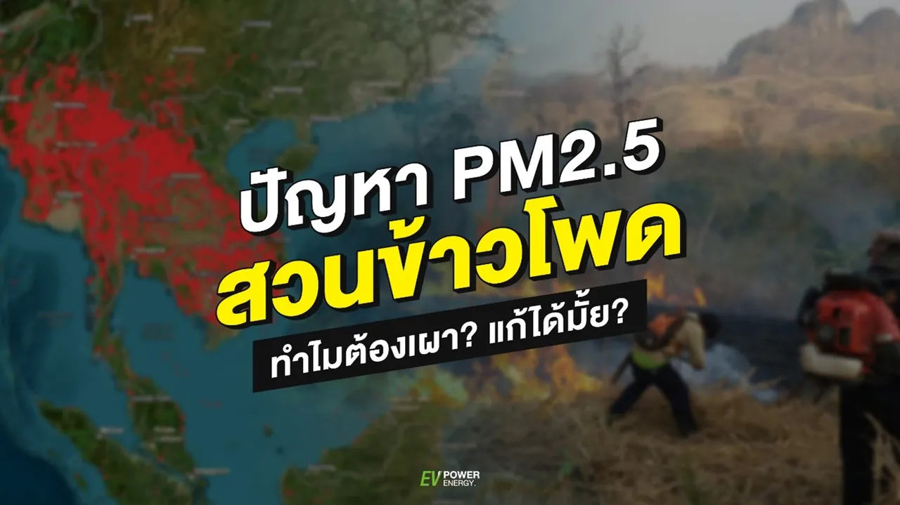 ปัญหา PM 2.5 สวนข้าวโพด ทำไมต้องเผา? แก้ได้มั้ย?