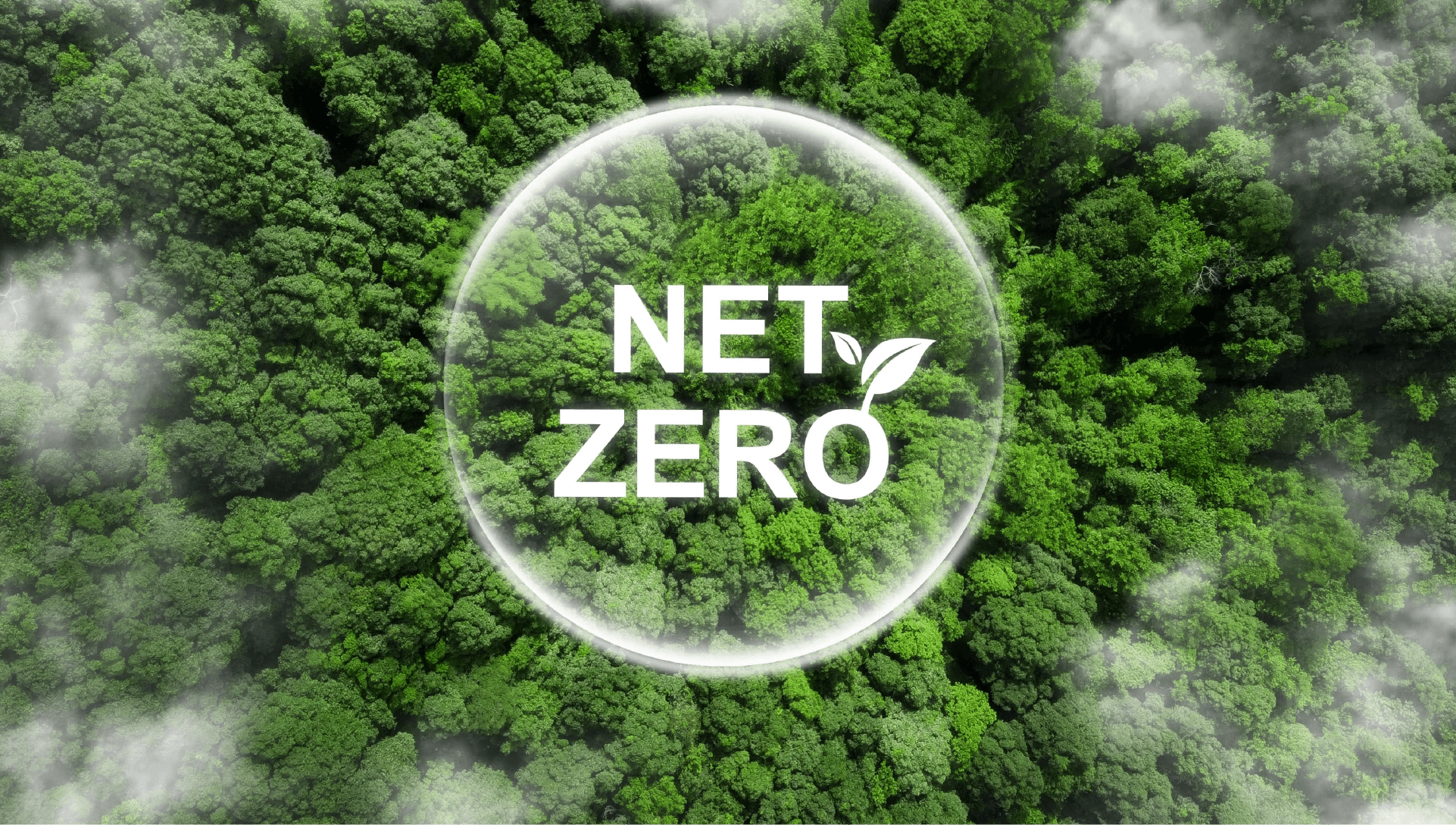 Alto CERO - Toward Net Zero