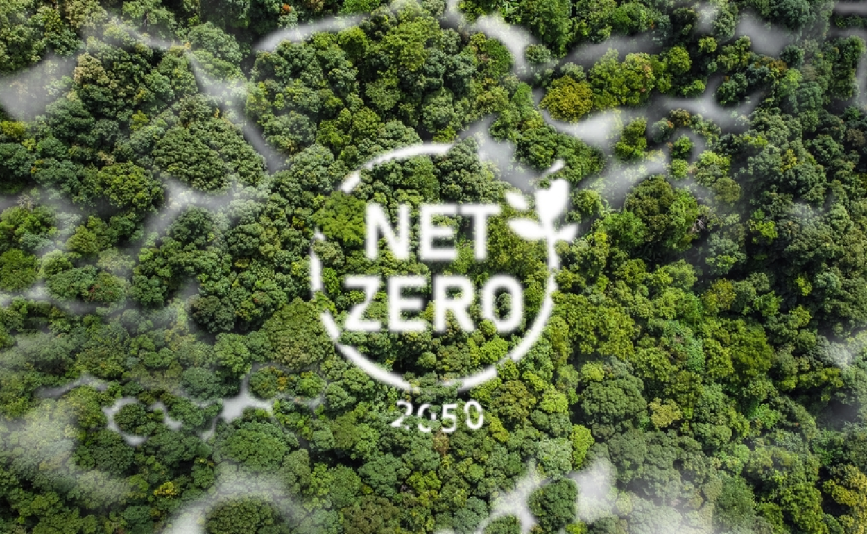 Net-Zero