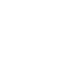 sg-five-icon2